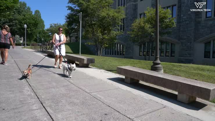 Dean Laura Belmonte's first day at Virginia Tech