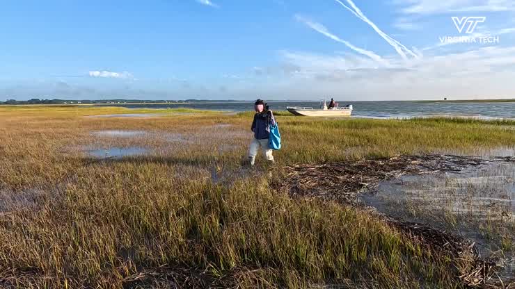 NASA coastal stabilization study on imperiled shorebirds