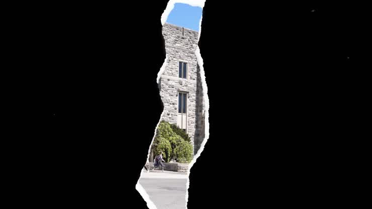 University Libraries welcomes students back for fall 2024 semester