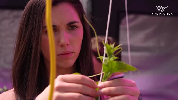 New course provides deeper dive into hydroponics