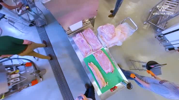 IDPro's interdisciplinary "Bacon Team"