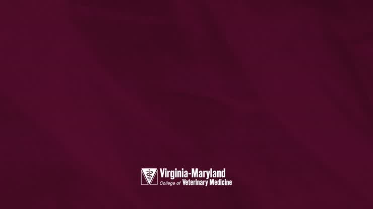 VMCVM's Highlights of 2025