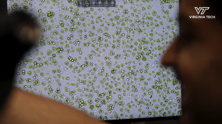 Giant virus discovery expands knowledge of viral latency