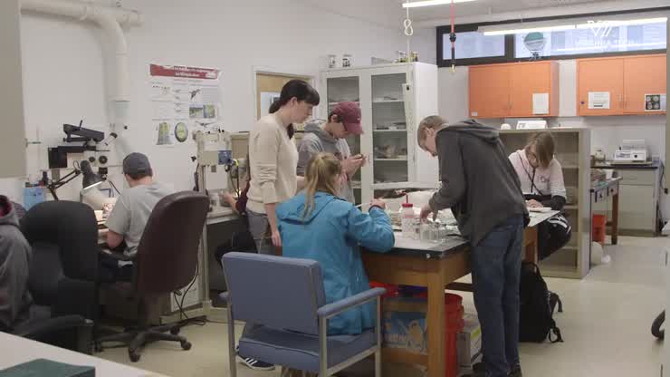 Virginia Tech students uncover fossils, prepare for study
