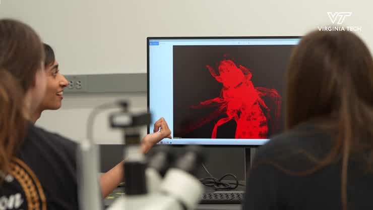 Discovery Lab prepares students for peer-led research