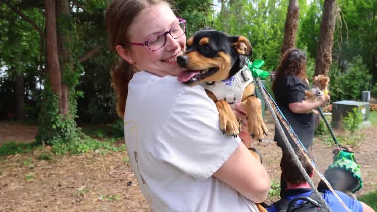 Where Creativity Meets Cause: Students and Shelter Dogs Share the Runway