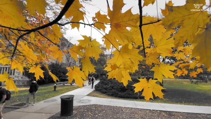 Autumn colors on Virginia Tech's campus