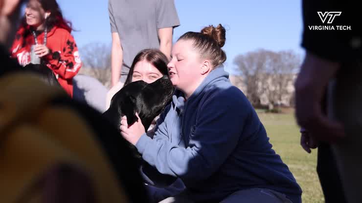 Welcome Virginia Tech's newest therapy dog, Epcot