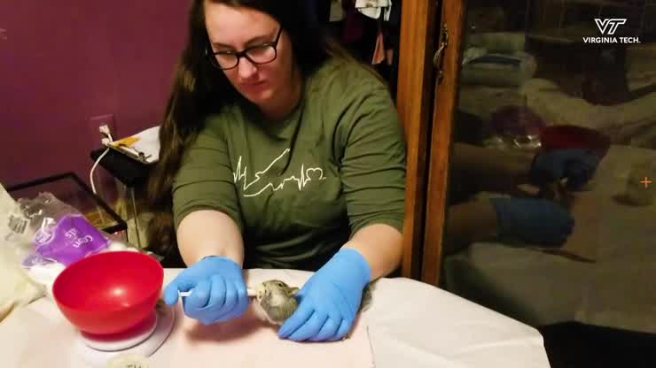 Student cares for wildlife from home to serve her community