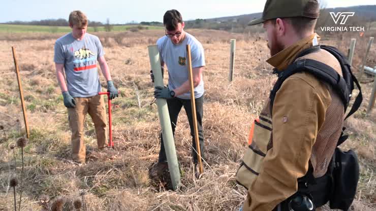 Restoring local watershed through replanting project