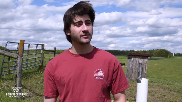 Swooping into Science: Tree Swallows and Bluebirds at Kentland Farms