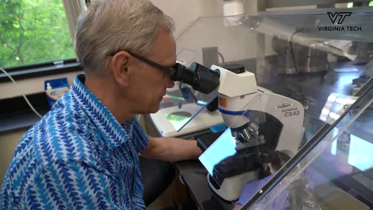 Mapping the genetic structure of mosquitos to better understand the spread of malaria and other infectious diseases