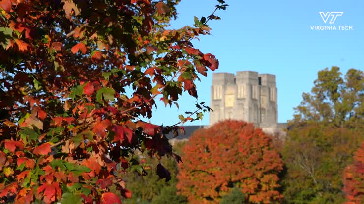 The colors of fall brought to you by Virginia Tech