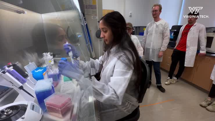 Undergraduate lab integrates COVID vaccine development