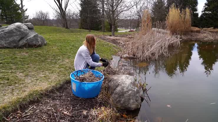 Brittany Christensen - College of Natural Resources and Environment 2020 Outstanding Senior