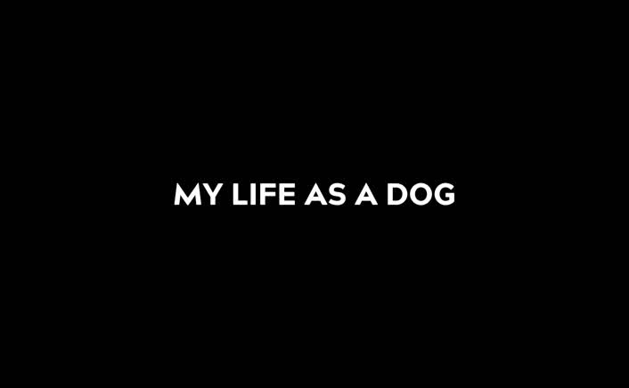 My life as a dog: A Giving Day special with Willy and James