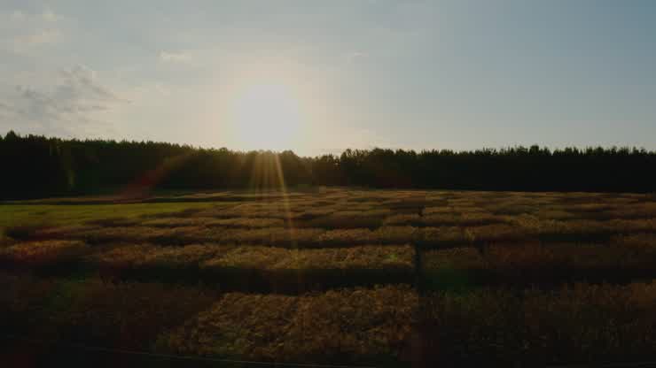 The Southern Piedmont AREC: focused on commodity-based research and Extension activities