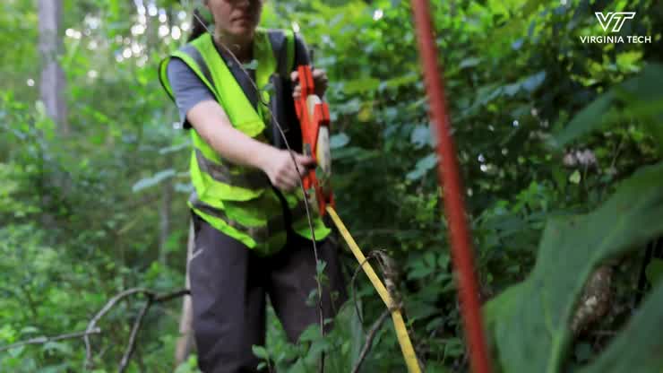 Tracking invasive plant species in the Chesapeake Bay watershed