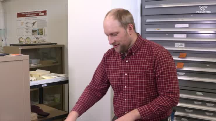 Virginia Tech paleontologist discovers new, miniature relative of Tyrannosaurus rex