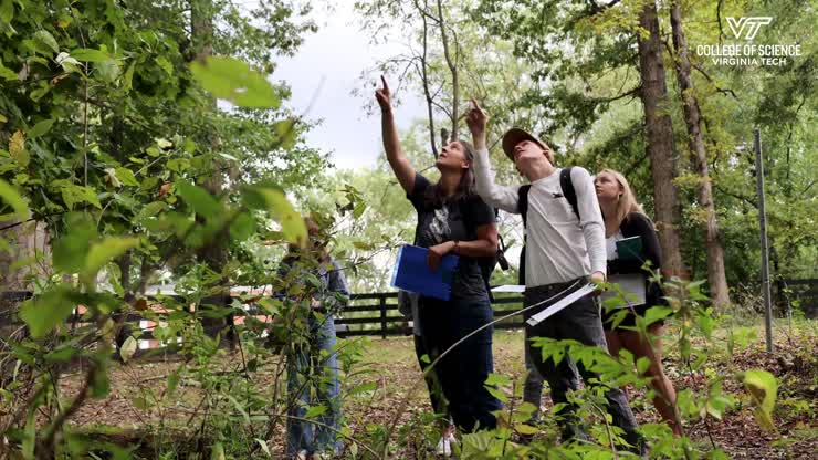 A classroom in nature