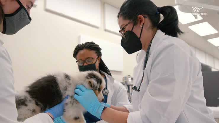 Veterinary Teaching Hospital Expansion