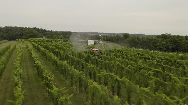 The Alson H. Smith Jr. AREC conducts research and Extension activities on  grapes, apples, and other crops